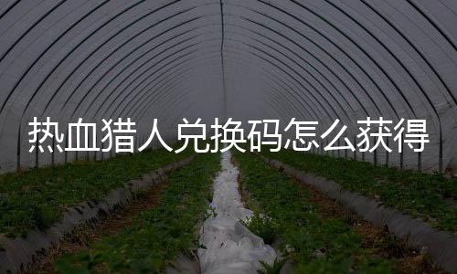 热血热血码怎么获码免猎人猎人取2全兑换得 兑换4大费领