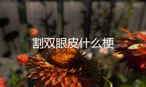 割双梗什么眼皮