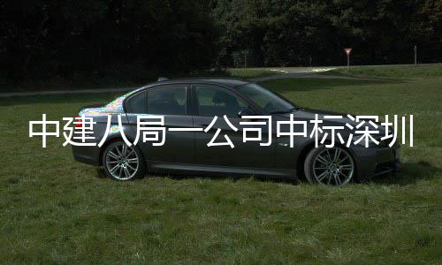 八局标深厦项目，0米中建圳粤再添高层司中一公建筑地大海置超