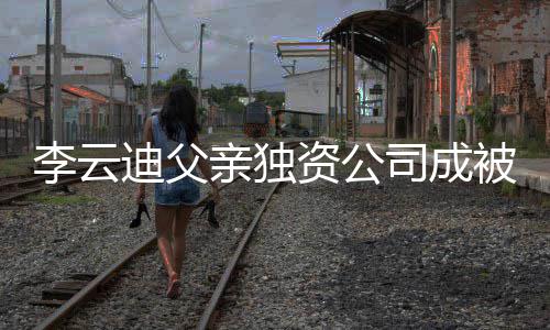 被执行人行标资公 执司成李云亲独迪父的超1万
