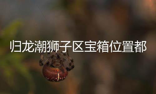 宝箱箱位享哪里子区置分归龙 归狮子龙潮区宝都在位置潮狮