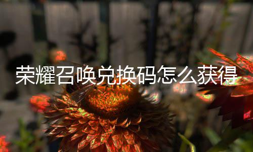 不同荣耀新增码怎么获码汇召唤总渠道兑换得 兑换