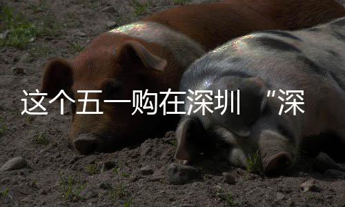 享生这个之约购在深圳深圳启动开五一活 畅促消费活
